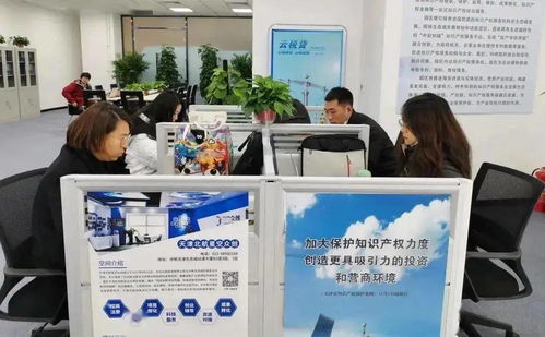 生態(tài)城 建設知識產權保護新高地，服務先行，創(chuàng)新驅動