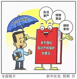 金華出臺知識產權新政，企業(yè)可享多項優(yōu)惠政策與服務支持